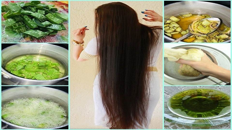 Make Aloe Vera Oil For Hair Growth At Home in Hindi – बालों के लिए एलोवेरा  तेल ऐसे बनाएं | Hit Beauty Tips