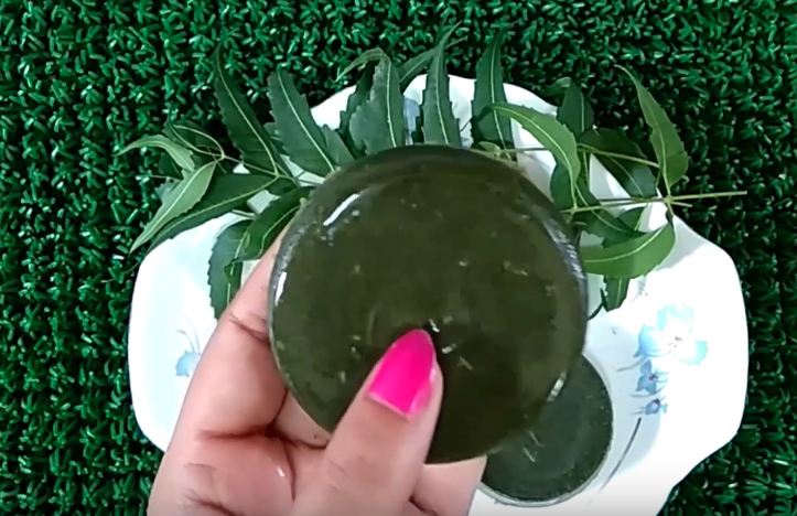 Make Neem Soap at home